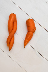 Two ugly carrots on white wooden background. Image with copy space, top view.