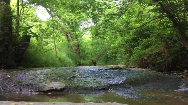 Water flowing over flat rocks in Tennessee
