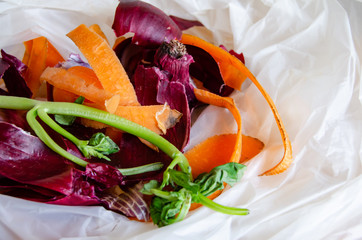 Organic waste in Biodegradable Plastic Bag