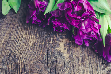 Purple tulips on wooden background