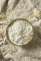 Fototapeta premium Organic Gluten Free Rice Flour