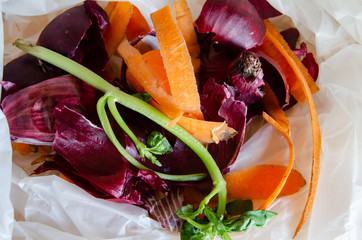 Organic waste in Biodegradable Plastic Bag