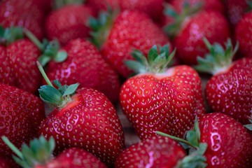 Background from ripe, freshly plucked, red strawberry close-up shot.