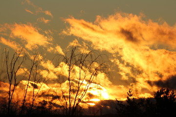 Fototapeta premium fire in the sky