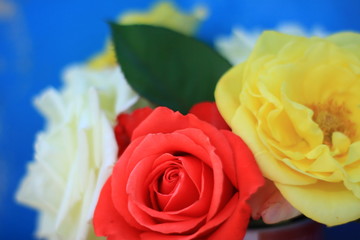 Naklejka premium bouquet of roses