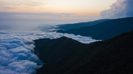 Aerial photography. Thick fog over the mountains. Sunset. Evening light. Dense clouds. Trees in the foreground. No people.