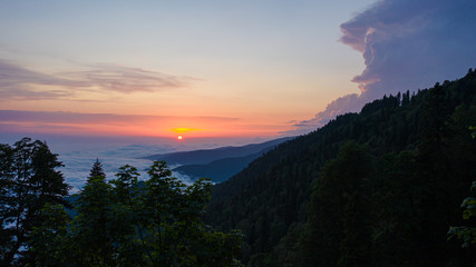 Naklejka premium Aerial photography. Thick fog over the mountains. Sunset. Evening light. Dense clouds. Trees in the foreground. No people.