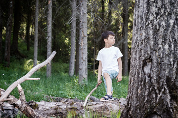 Naklejka na ściany i meble The child in the forest, escaped from the house and was lost, the heavy relations in family, trouble, disagreement, physical punishments, the concept of problems of the relation of adults and children
