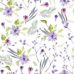 Fototapeta na wymiar clematis colorful violet flowers and leaves
