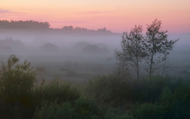 Obraz na płótnie Canvas Fog in the meadow in the morning at dawn in the sun
