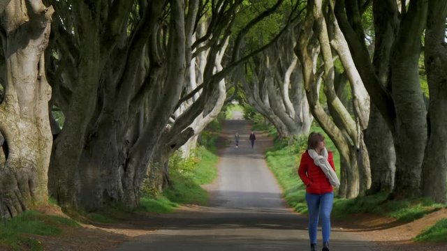The Dark Hedges - a famous location in Northern Ireland - travel photography