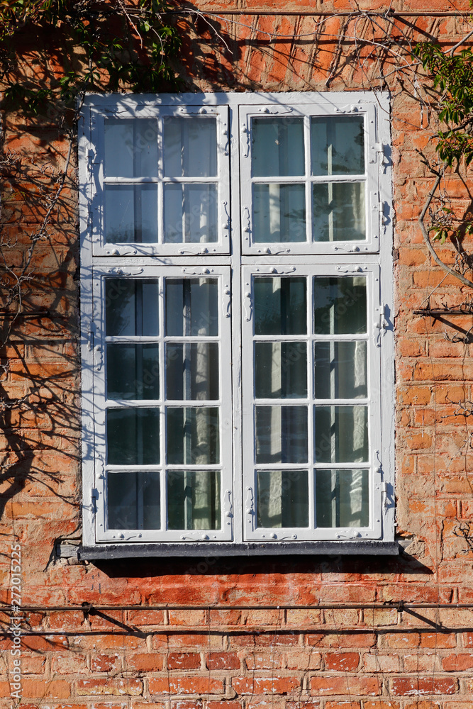 Wall mural closed window