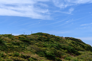 Fototapeta premium 秋の地蔵山