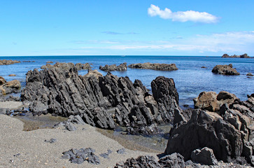 The rugged coastline at Moa Point near Wellington Airport