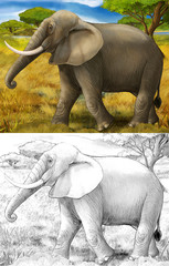 cartoon scene with elephant in the nature illustration for children