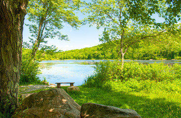 Beautiful landscape lake. Forest lake and empty bench