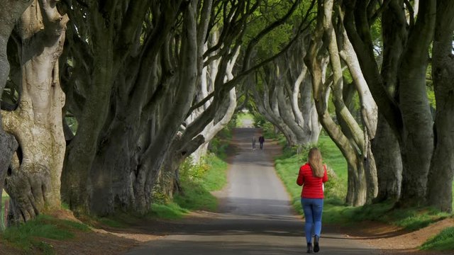 The Dark Hedges of Stranocum in Northern Ireland - travel photography