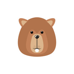 Isolated beaver forest animal design