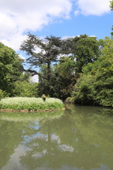 Etang du parc de Bagatelle à Paris