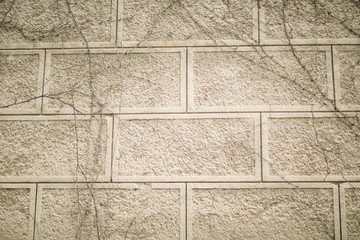 texture of wall