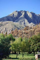 Landscape of mountains and trees
