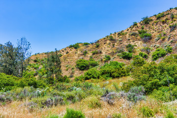Fototapeta na wymiar landscape in mountains in early summer