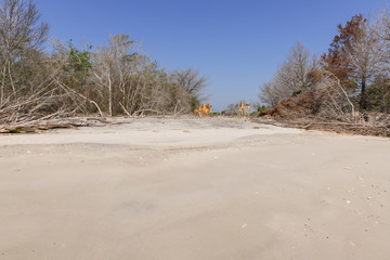 Fototapeta na wymiar Coastal erosion due to rising sea levels leaves dead tree stumps and driftwood at Hunting Island State Park in South Carolina, United States.