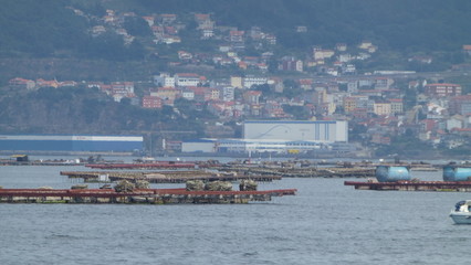 Vigo, city of Galicia.Spain