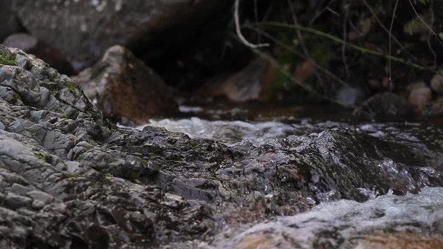 Tilt close shoot of beautiful waterfall of a river inside the seven brothers forest. Sette fratelli. Cagliari, Sardina, Italy