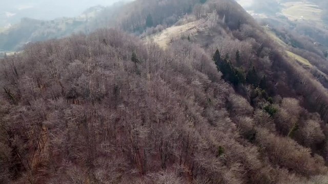 Top down aerial pan shot of wooded mountain top and surrounding sloping landscape. Leafless trees in winter in warm sunlight.