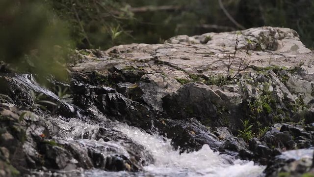 Tilt shoot of beautiful waterfall of a river inside the seven brothers forest. Sette fratelli. Cagliari, Sardina, Italy
