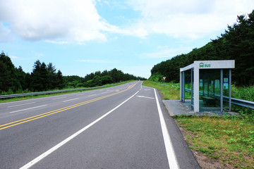 Fototapeta premium Bus stop. Road in Jeju Island, South Korea.