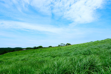 Sangumburi Crater is a tourist site built in volcanic crater.