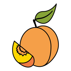 tropical fruits design