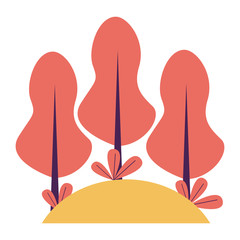 Fototapeta premium forest trees botanical natural