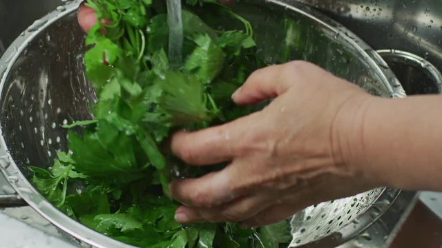 Hands washing parsley in a kitchen sink
