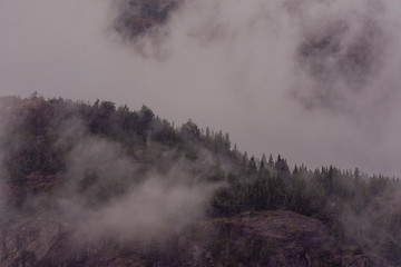 Scene view of clouds covering forest in the mountain