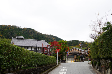 嵯峨嵐山の道と人力車