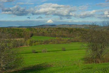 Fototapeta premium rural landscape