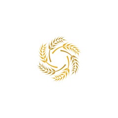 Wheat vector icon illustration design