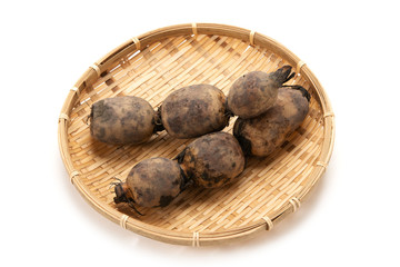 生蓮根