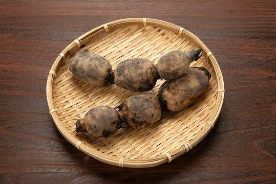 蓮根 Images Browse 4 333 Stock Photos Vectors And Video Adobe Stock