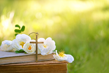 Christian religion background. old biblical books, Christian cross and rose flowers in garden....