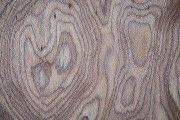 Unique patterned wood texture Natural brown