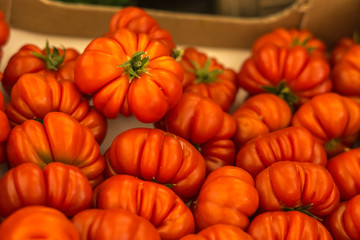 Close-up of many little tomatoes
