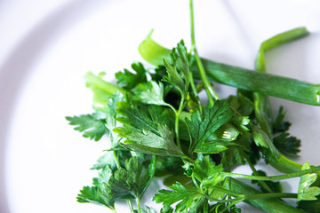 Salsa e cebolinha em fundo branco, temperos.