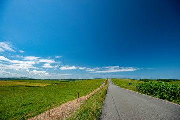 夏の宗谷岬 Wall Mural Wallpaper Murals Wallsheaven Kei U