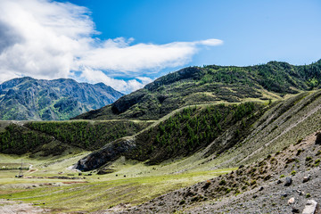 Beautiful spring landscape in Altai 
