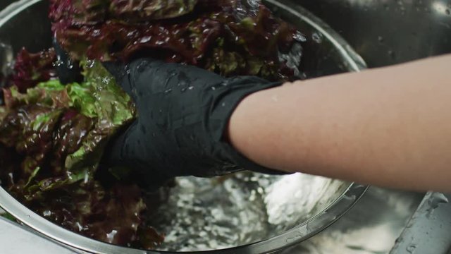 Hands washing a salad using a running water in a kitchen sink
