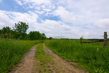 Fototapeta na wymiar Dirt road through the countryside